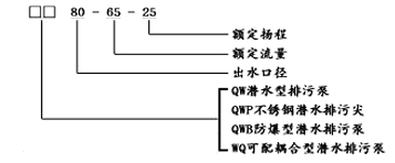 大東海泵業WQ潛水無堵塞排污泵型號意義