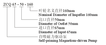 大東海泵業(yè)自吸式磁力泵型號(hào)意義