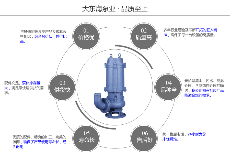 大東海泵業(yè)自動攪勻排污泵質(zhì)量保證圖